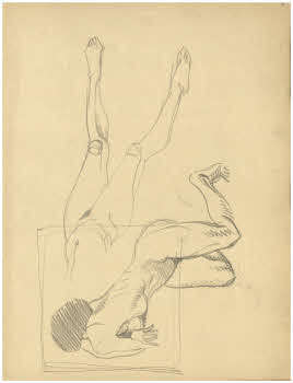 Visualizza l'immagine "FD Album 12, 6 r."